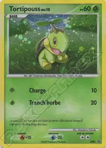 Turtwig