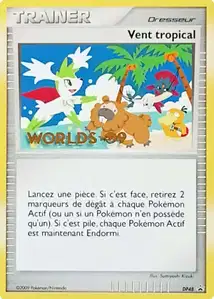 Tropical Wind