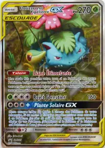 Venusaur & Snivy GX