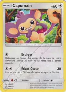 Aipom