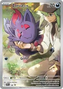 N's Zorua